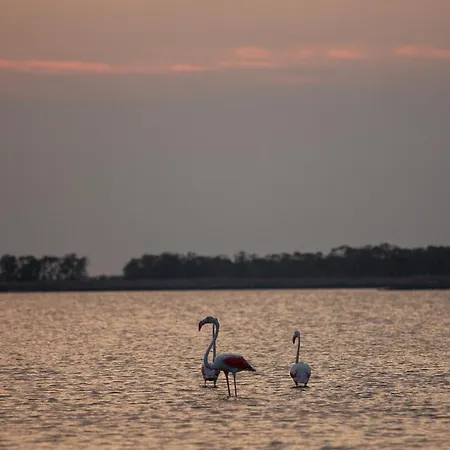 Duplex * Lido di Spina
