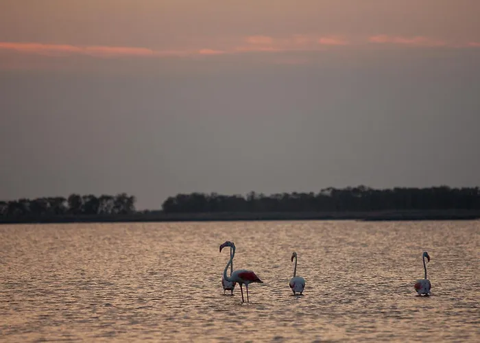 Guesthost - Duplex * Lido di Spina